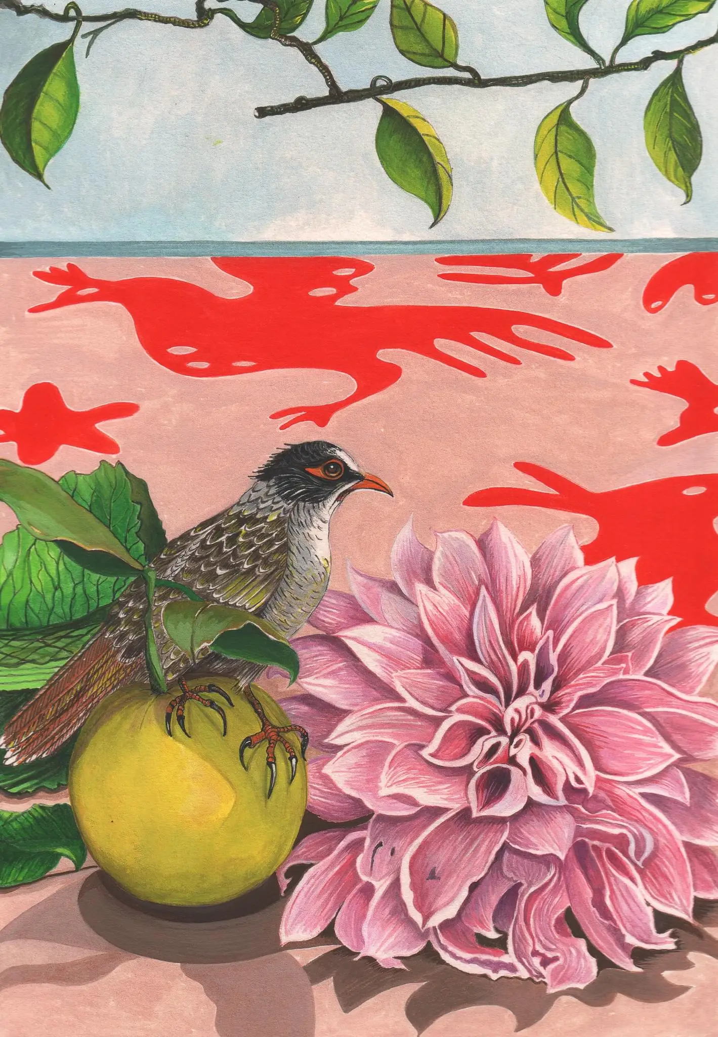 Scott_Gwen, Dahlia, Noisy Miner & Grapefruit, 2023