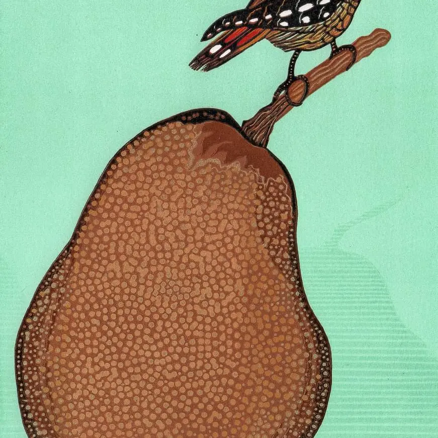 scott-gwen-pear-and-pardalote_orig