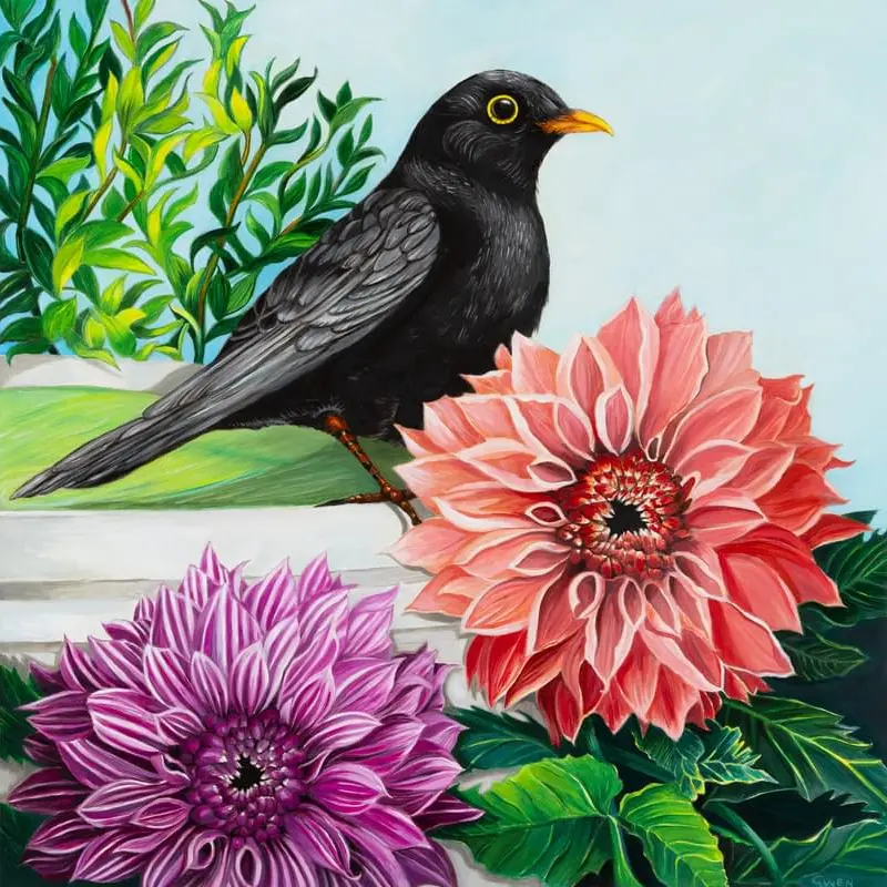 scott-gwen-blackbird-with-dahlias-oil-on-board-30-5x30-5cm-2026_orig