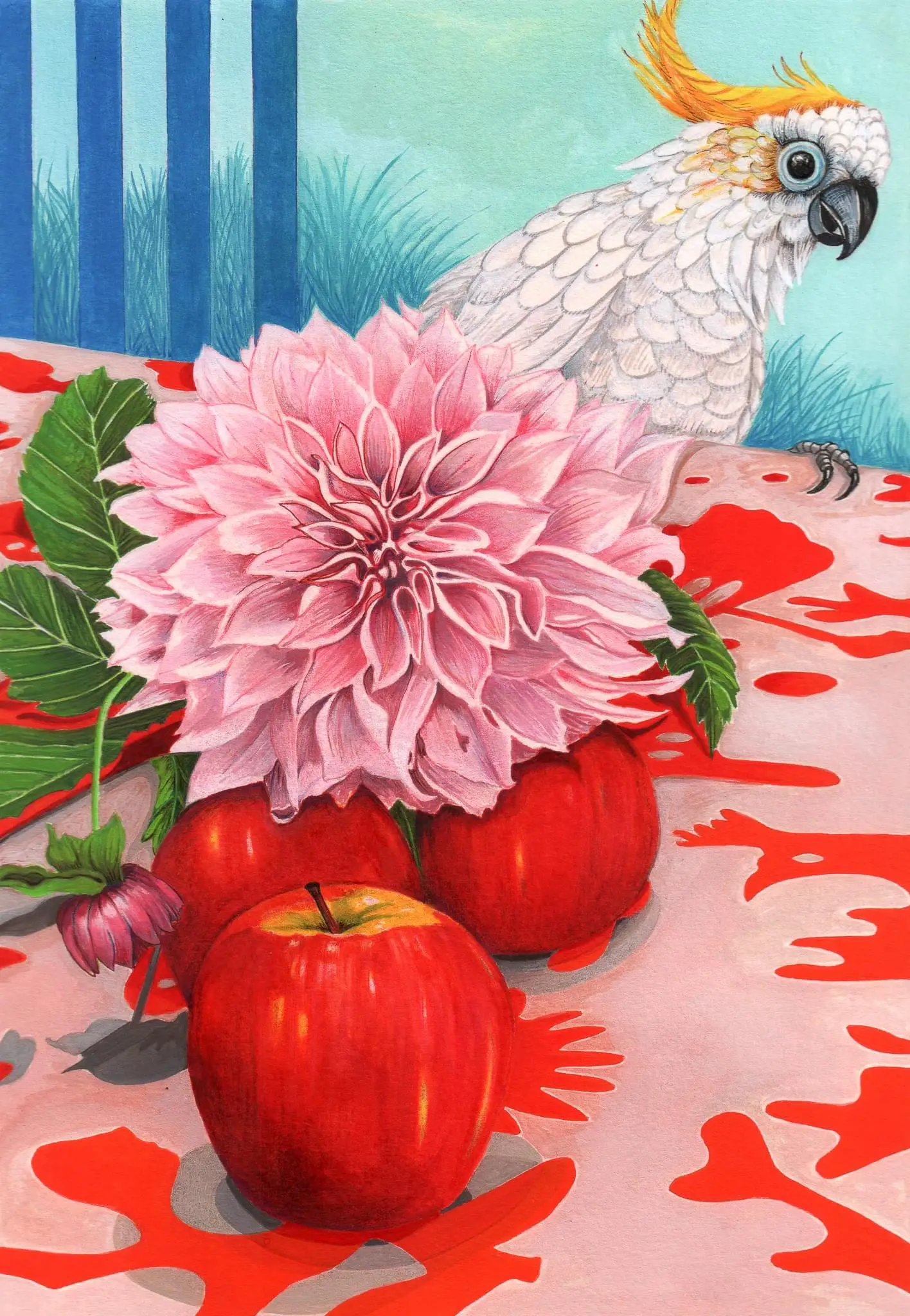 Scott_Gwen_Dahlia, apples & cocky_Gouache&Pencil_2023 copy 2