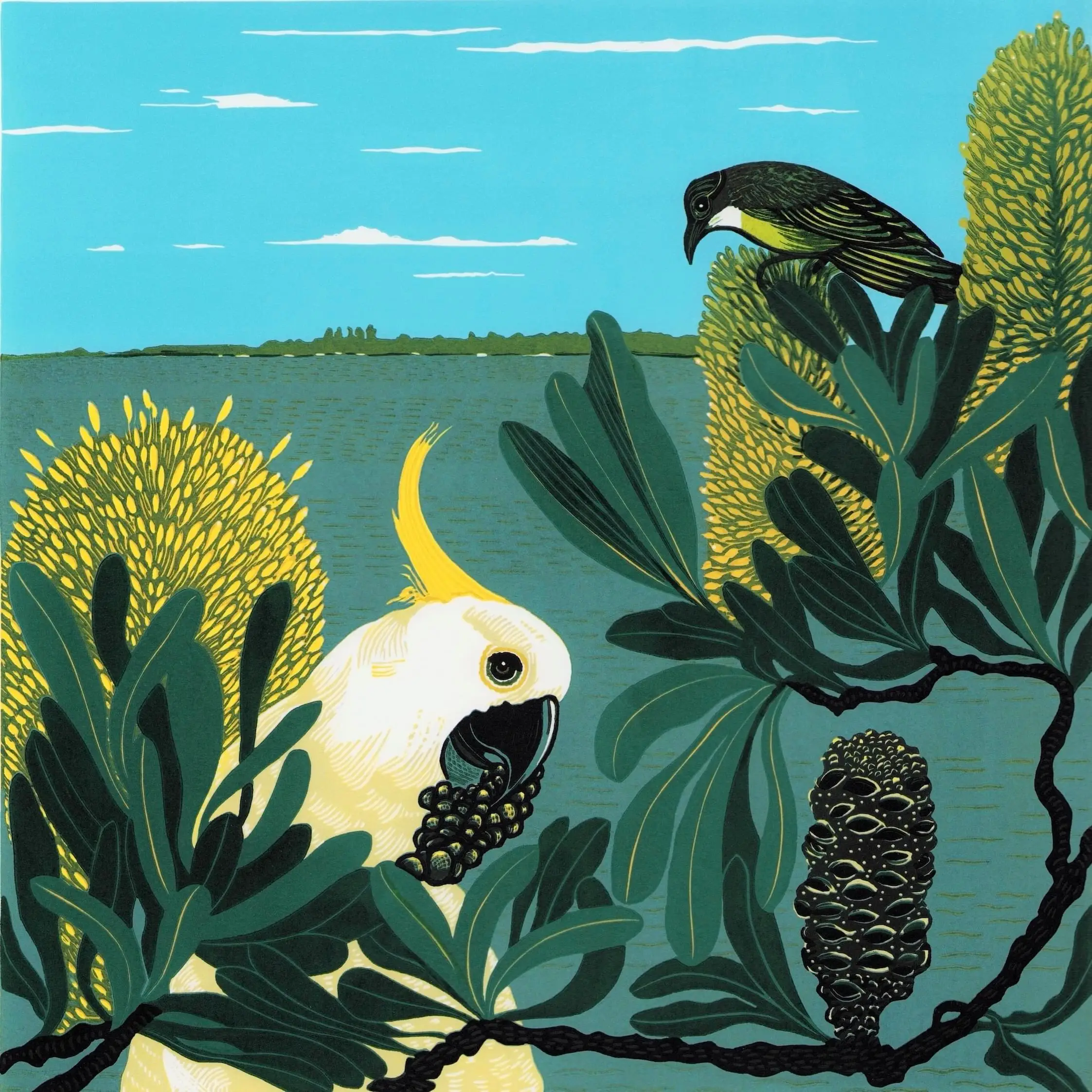 Scott-Coastal banksias with birds copy